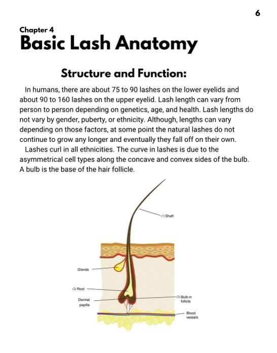 Eyelash Extension Handbook (Classic, Hybrid, Volume Edition)