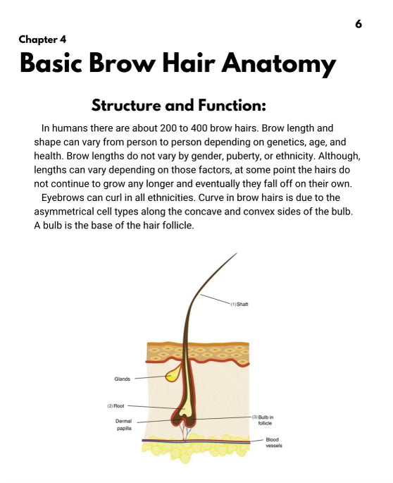 Brow Lamination Handbook